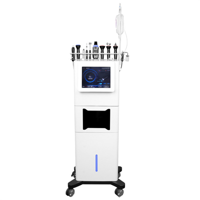 ริ้วรอยและริ้วรอย Salon Hydra Oxygen Facial Machine 12 In 1